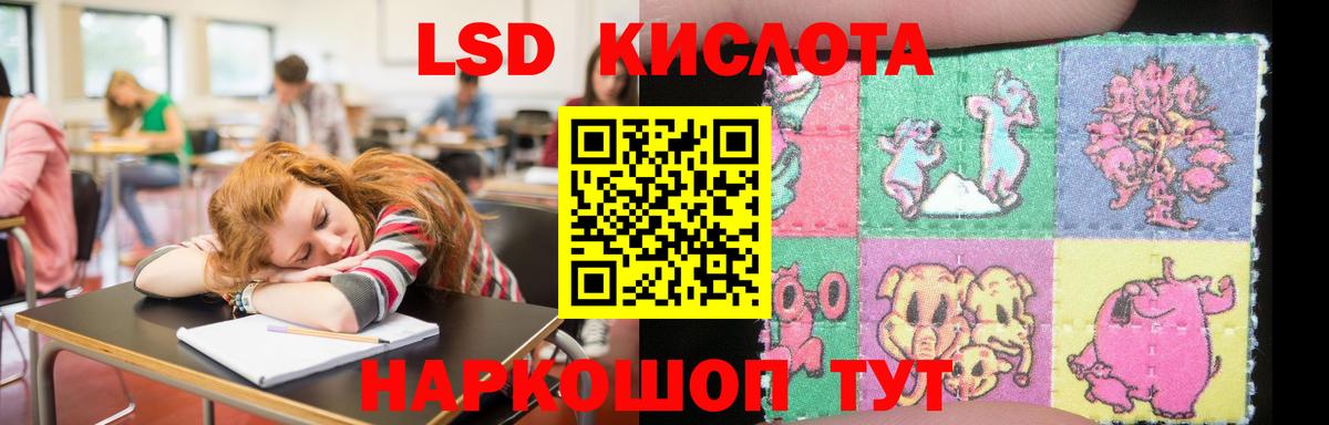 Аргун  Лсд 25 экстази кислота  Вход с VPN 