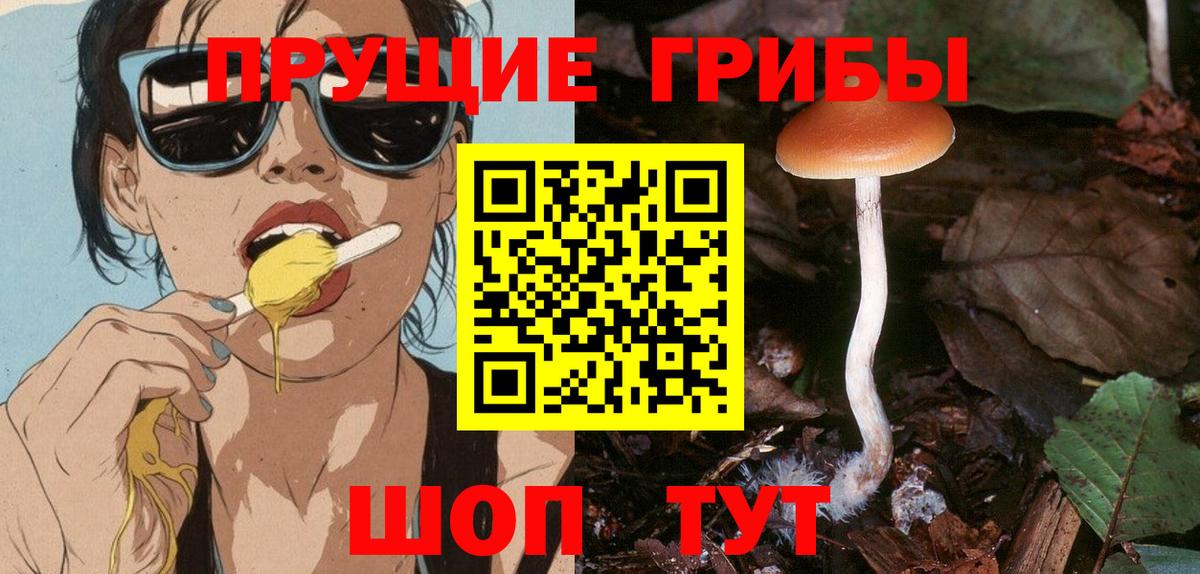 Галлюциногенные грибы Psilocybe Аргун